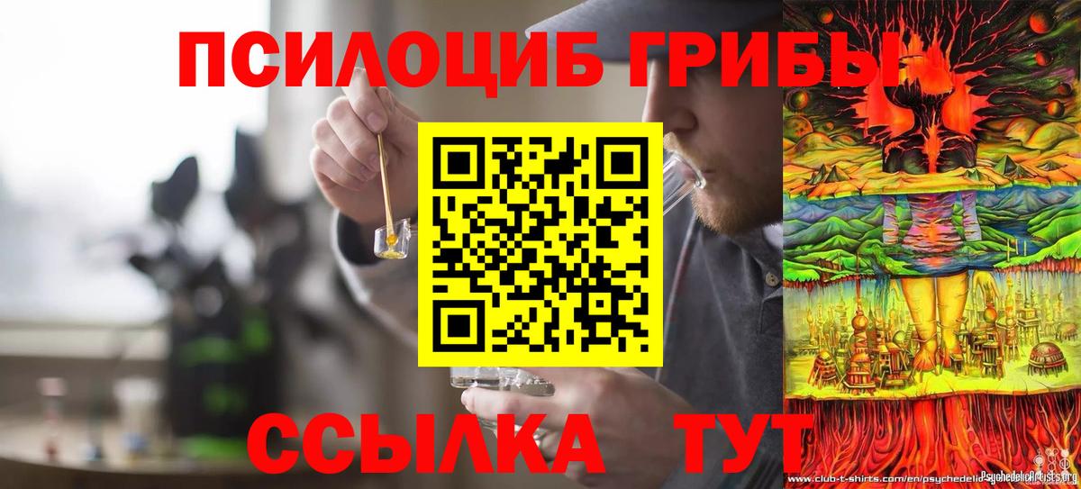 Галлюциногенные грибы Psilocybe Первоуральск